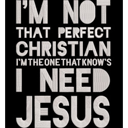 Not a Perfect Christian Quote
