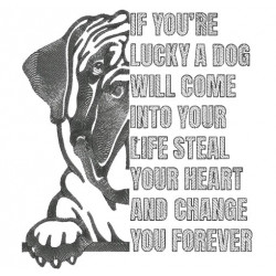 You're Lucky Dog Quote