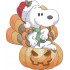 Happy Halloween Nosey Dog