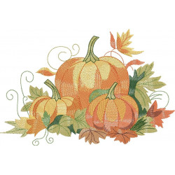 Pumpkin Patch