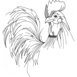 Rooster Line Art