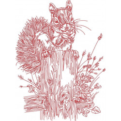 Squirrel Line Art