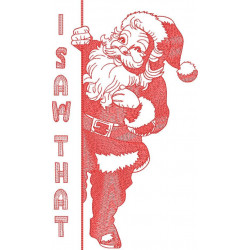 I Saw That Santa Claus