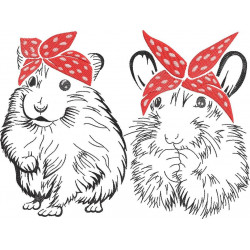 Bandana Hamsters