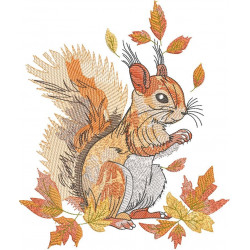 Squirrel In Autumn
