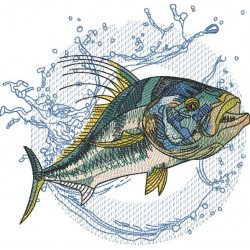 Roosterfish