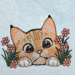 Kitten With Daisies