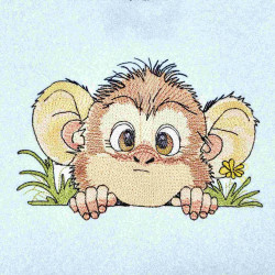 Baby Monkey Peek