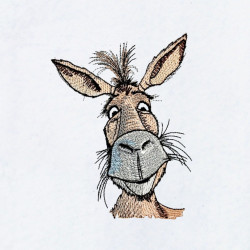Funny Donkey Face