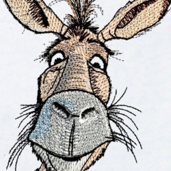Funny Donkey Face