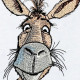 Funny Donkey Face