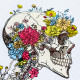 Floral Blooming Skeleton Floral Blooming Skeleton
