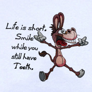 Life Is Short Funny Donkey Saying