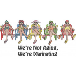 We're Not Aging Funny Ladies