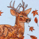 Autumn Deer Autumn Deer