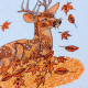 Autumn Deer Autumn Deer