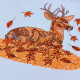 Autumn Deer Autumn Deer