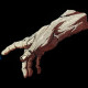 Hands With Tren Vaccine Hands With Tren Vaccine