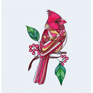 Cardinal Bird On Branch