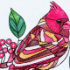 Cardinal Bird On Branch