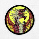 Roaring Dragon ITH Coaster