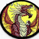 Roaring Dragon ITH Coaster