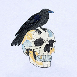 Raven On Skull