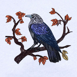 Raven On A Tree Branch
