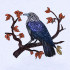 Raven On A Tree Branch