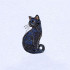 Lunar Kitty