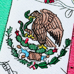Mexico Flag and Map