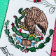 Mexico Flag and Map