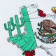 Mexico Flag and Map