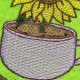 Sunflower Cup ITH Coaster