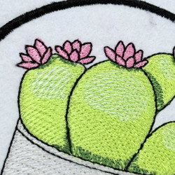Cactus Cup ITH Coaster