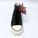Dragon Shoe Wing