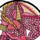 Sleeping Horned Dragon ITH Coaster