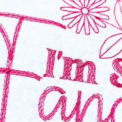 I'm Sew Fancy Quote