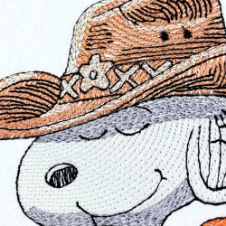 Cowboy Nosey Dog