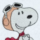 Aviator Nosey Dog