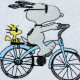 Nosey Dog On Bicycle