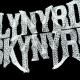 Lynyrd Skynyrd