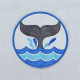 Whale Tail ITH Coaster Whale Tail ITH Coaster