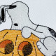 Nosey Dog in Jack o Lantern