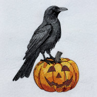 Raven On Pumpkin