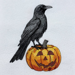 Raven On Pumpkin