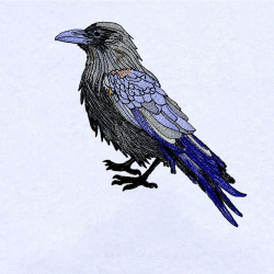 Spooky Raven