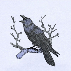 Raven Calls