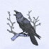 Raven Calls