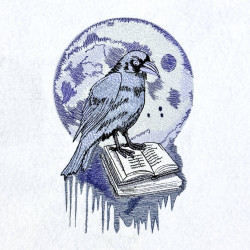 Night Raven On Book